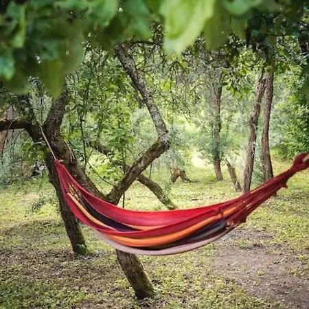 Palukuela Tiny House Kadaka Palukula (Rapla)